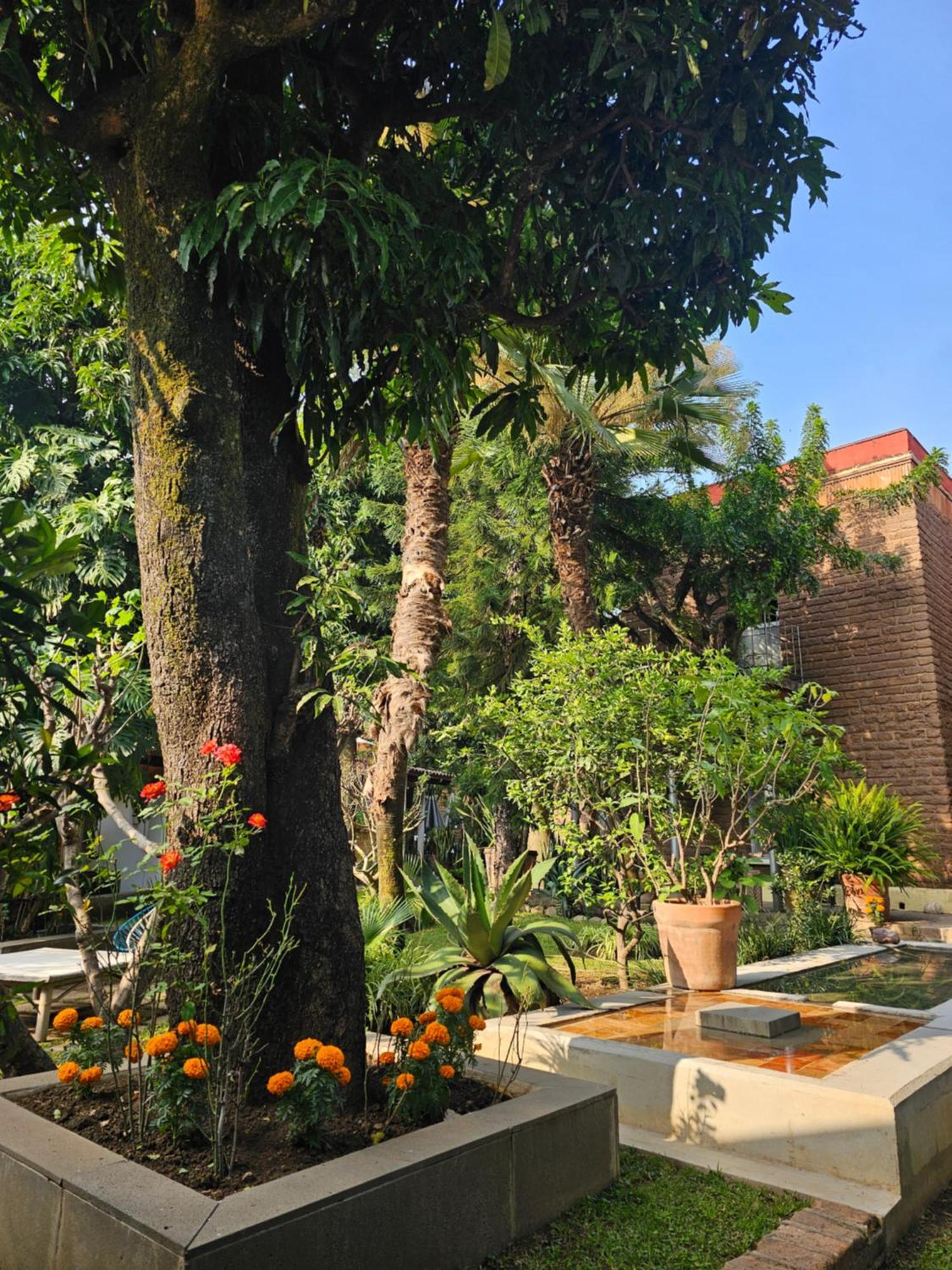 Casa Limon Malinalco Hotel Exterior photo