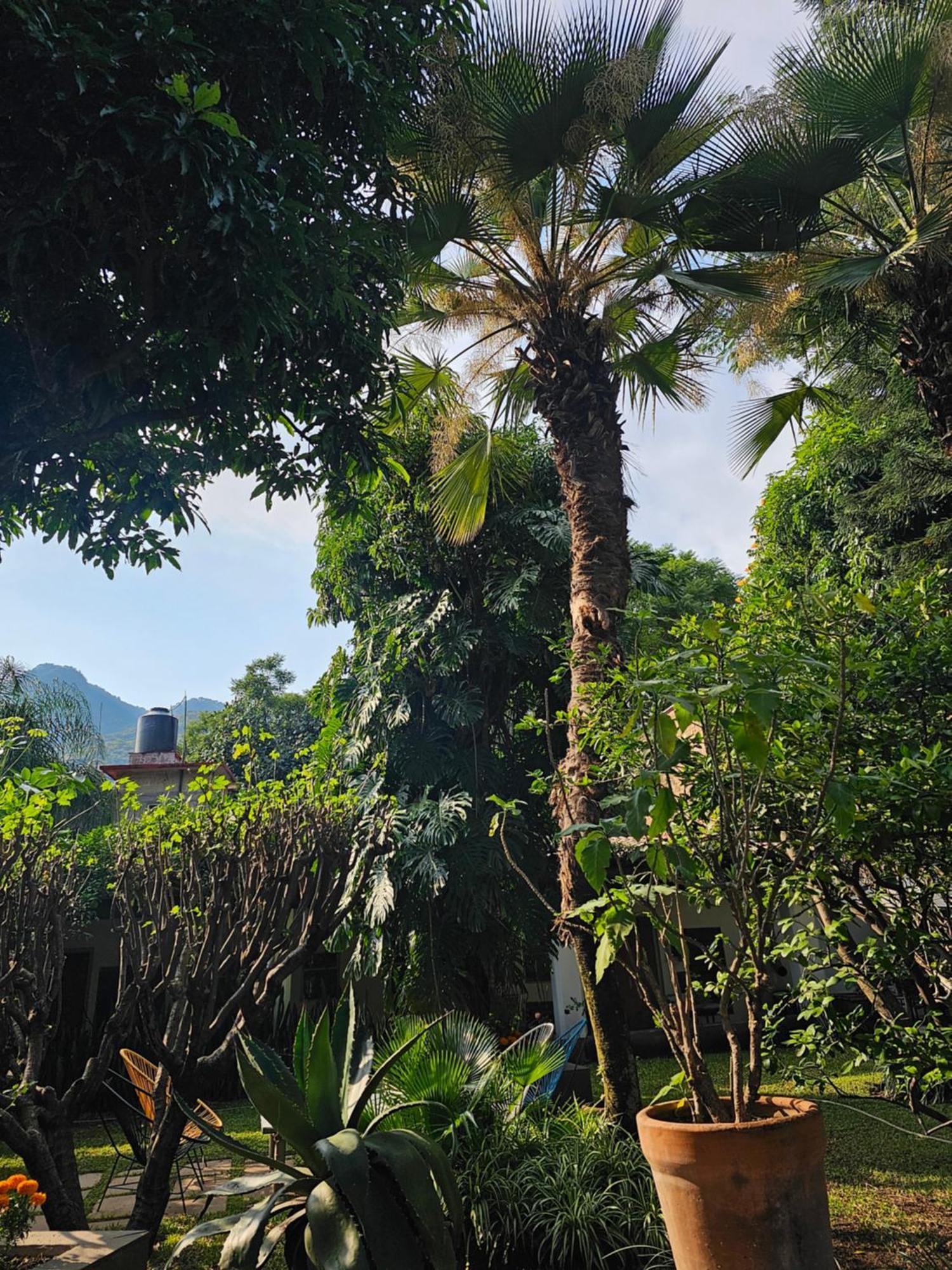 Casa Limon Malinalco Hotel Exterior photo